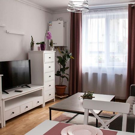 Ana Cristina Apartament Sighişoara Extérieur photo