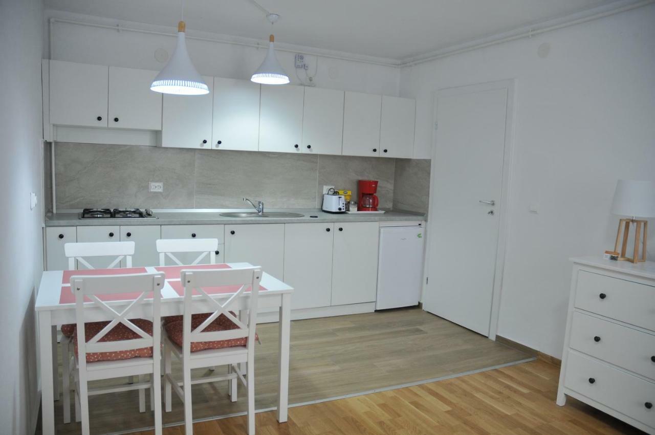 Ana Cristina Apartament Sighişoara Extérieur photo